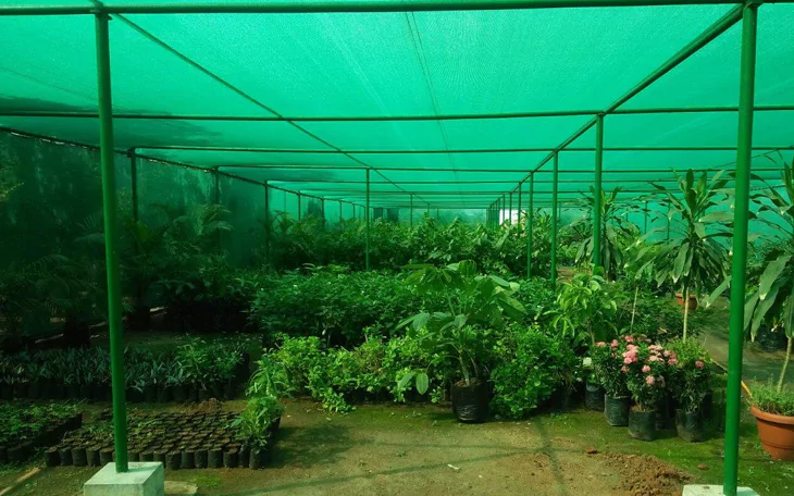 Shade Safety Nets in Bangalore